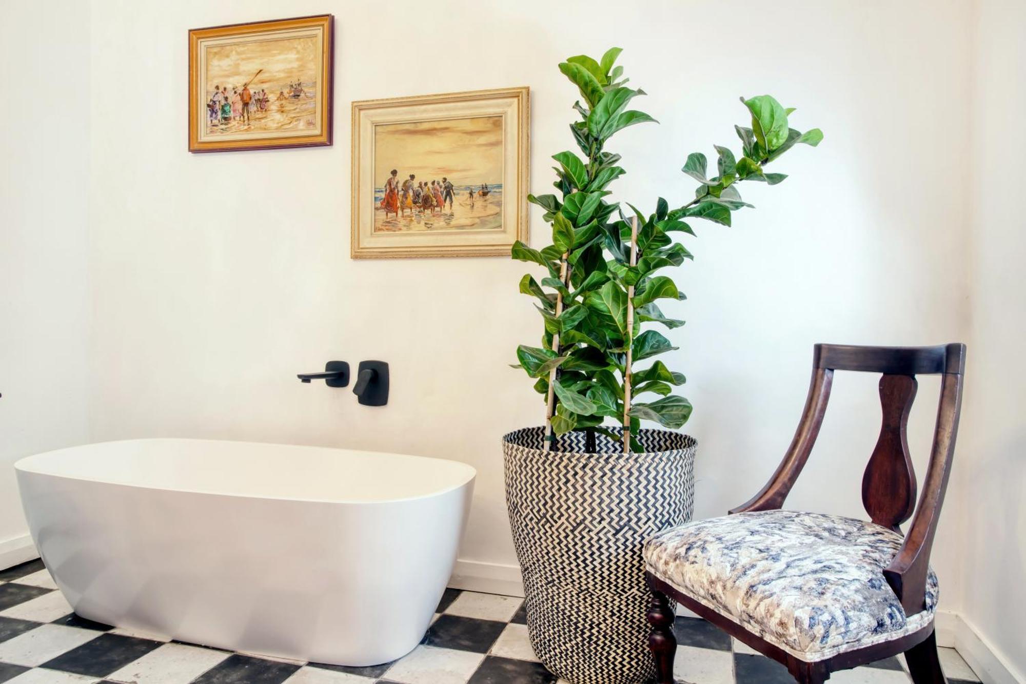 Maison Montagne Franschhoek Luaran gambar