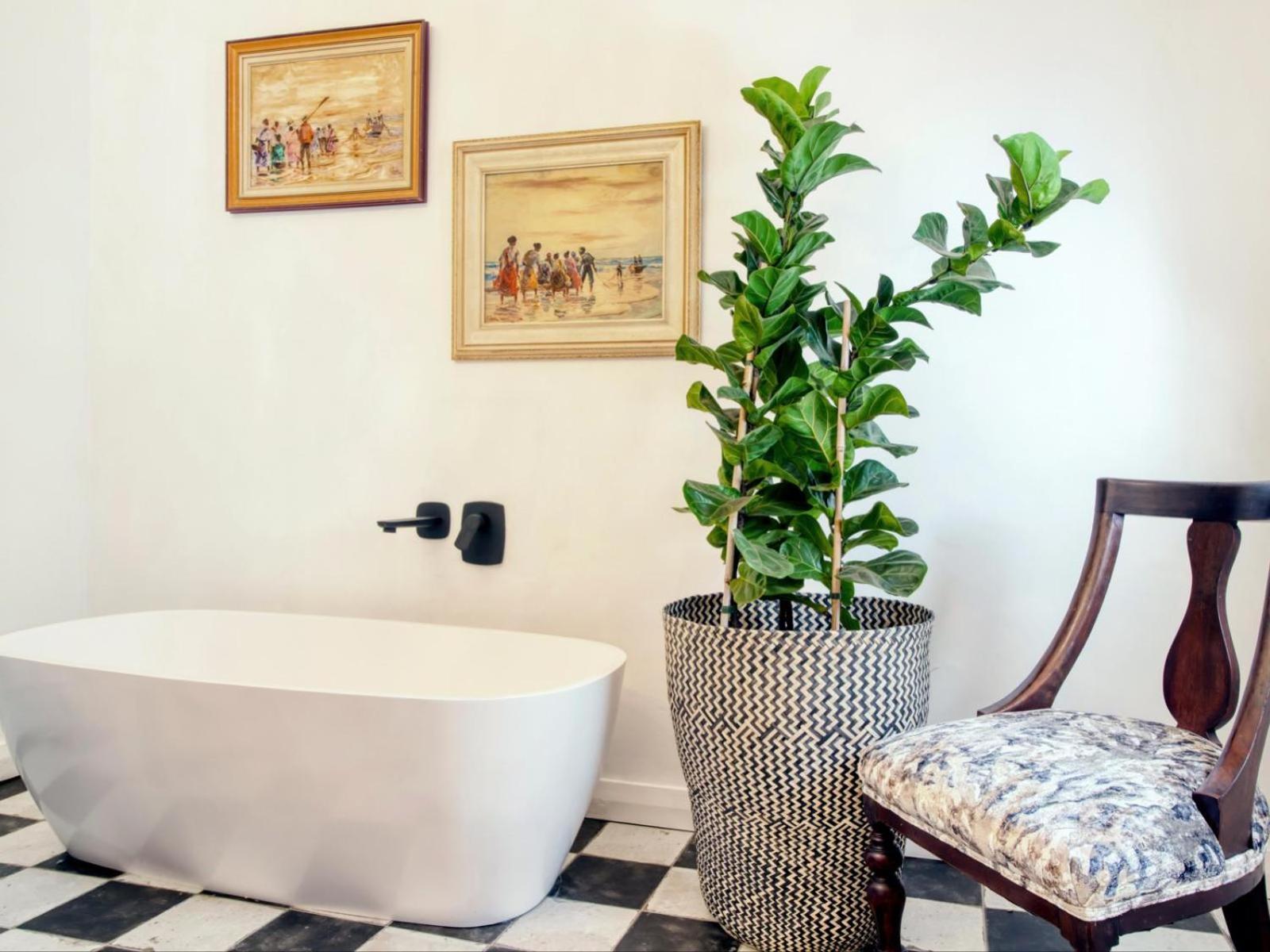 Maison Montagne Franschhoek Luaran gambar